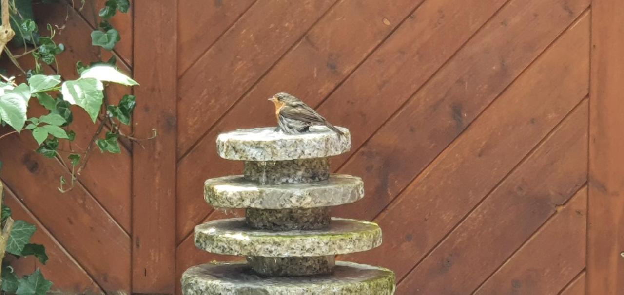 Moin, Moin & Ahoi! Lägenhet Kiel Exteriör bild