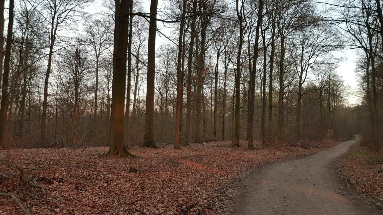 Moin, Moin & Ahoi! Lägenhet Kiel Exteriör bild