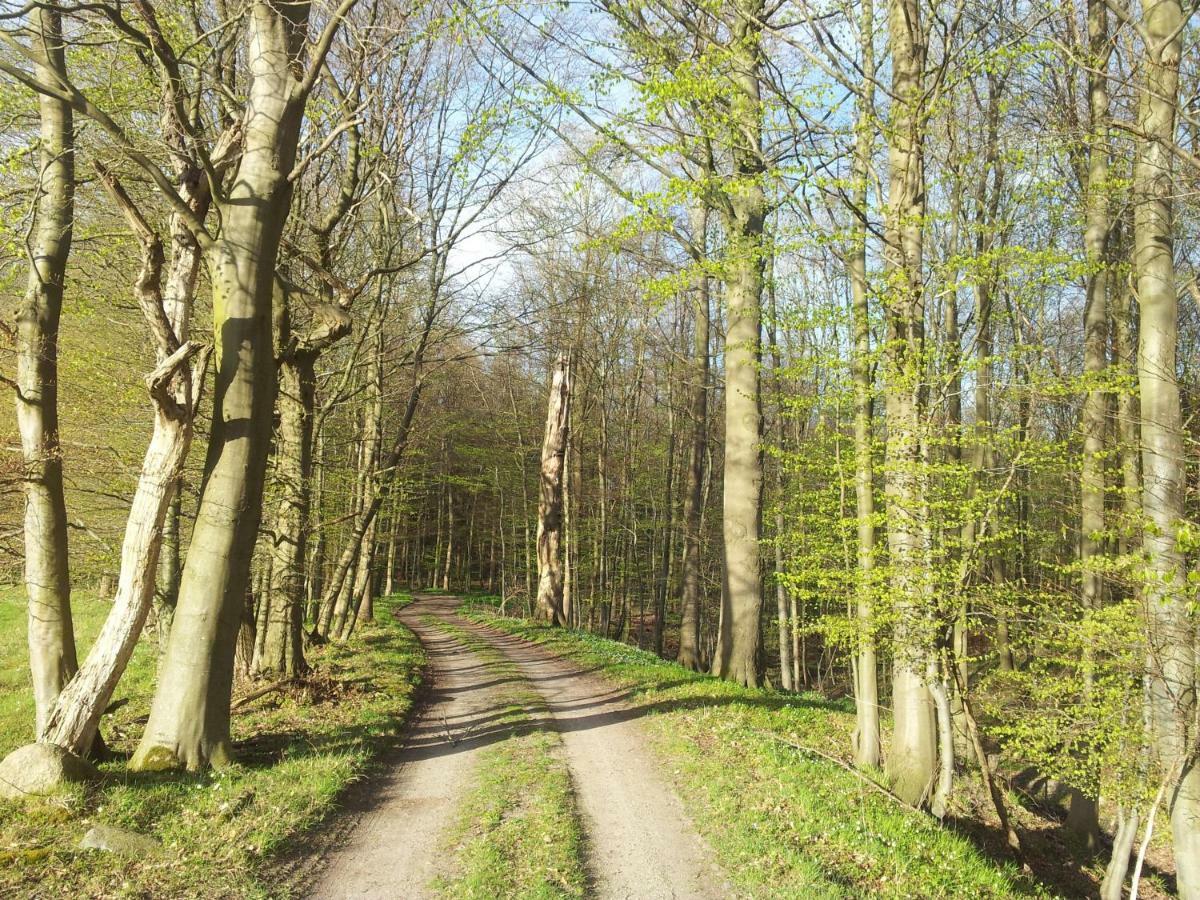 Moin, Moin & Ahoi! Lägenhet Kiel Exteriör bild