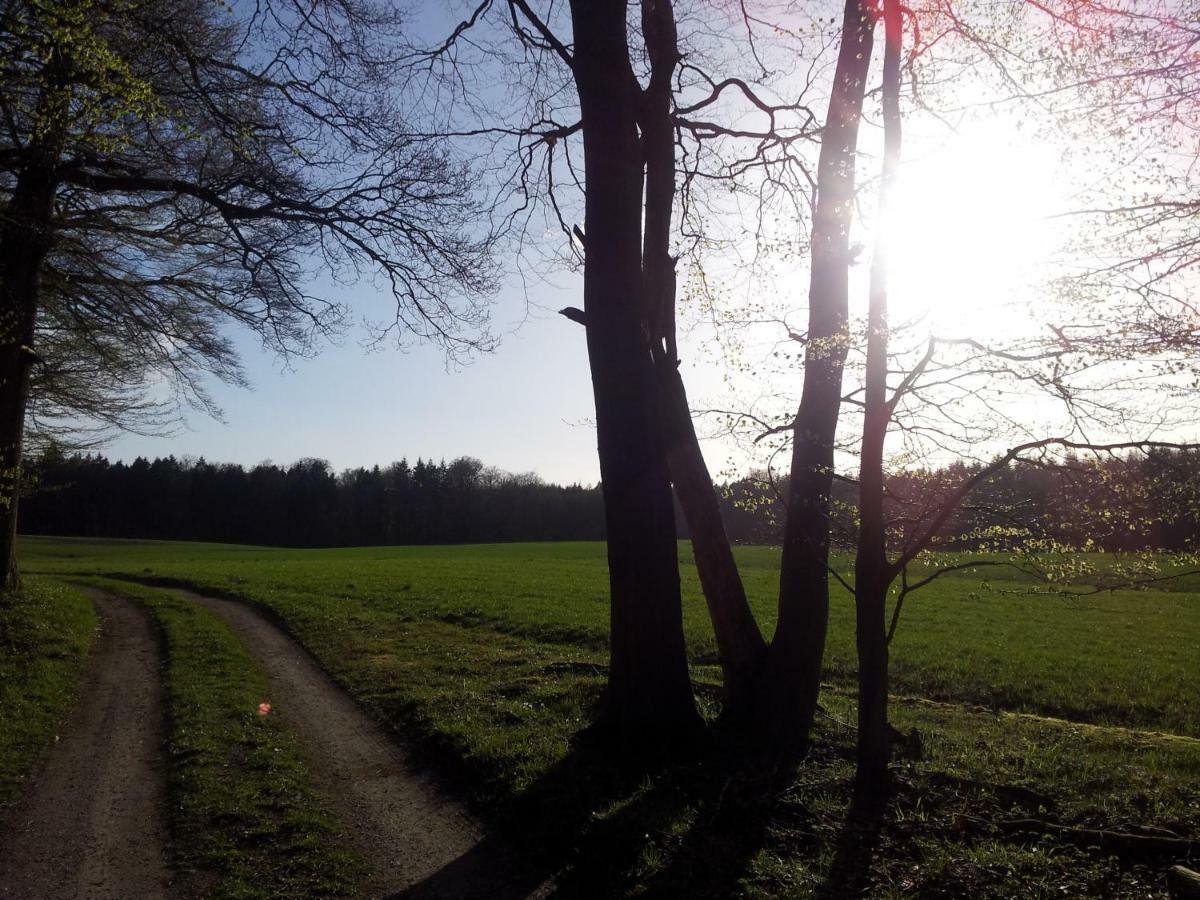 Moin, Moin & Ahoi! Lägenhet Kiel Exteriör bild